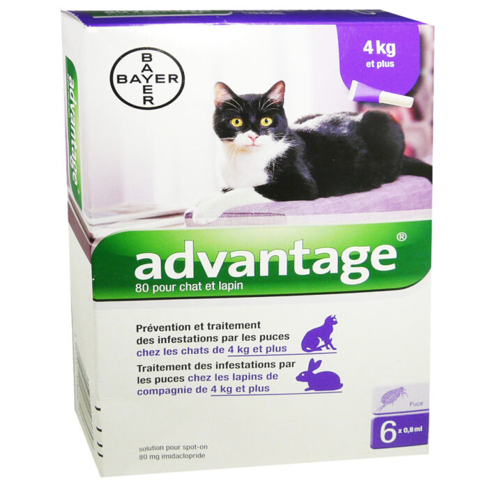 ADVANTAGE CHATS ANTI-PUCES PIPETTES 6 X 0.8 ml 4 KILOS ET PLUS