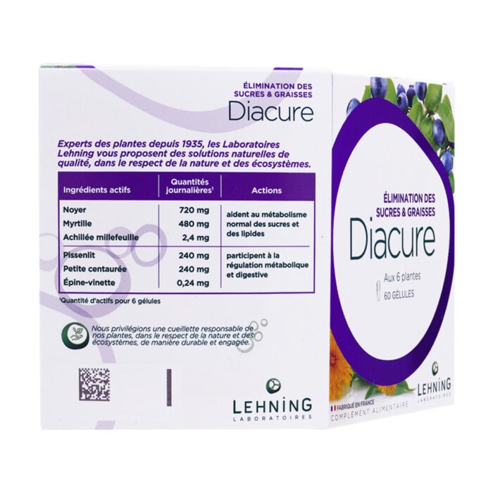 LEHNING DIACURE 60 GÉLULES – Image 2